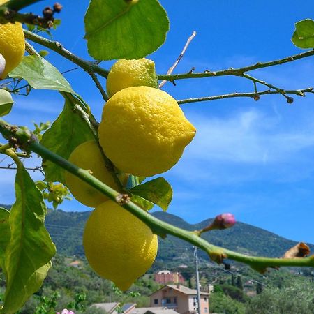 Casa Limoni Villa Monterosso al Mare Eksteriør billede