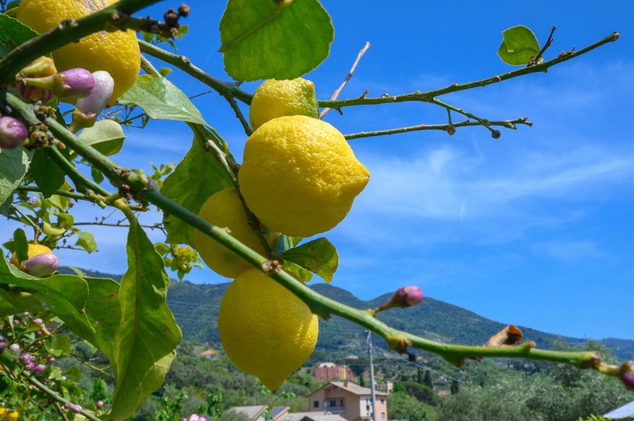 Casa Limoni Villa Monterosso al Mare Eksteriør billede