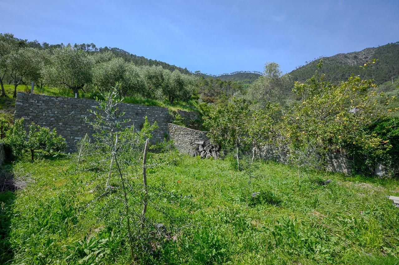 Casa Limoni Villa Monterosso al Mare Eksteriør billede